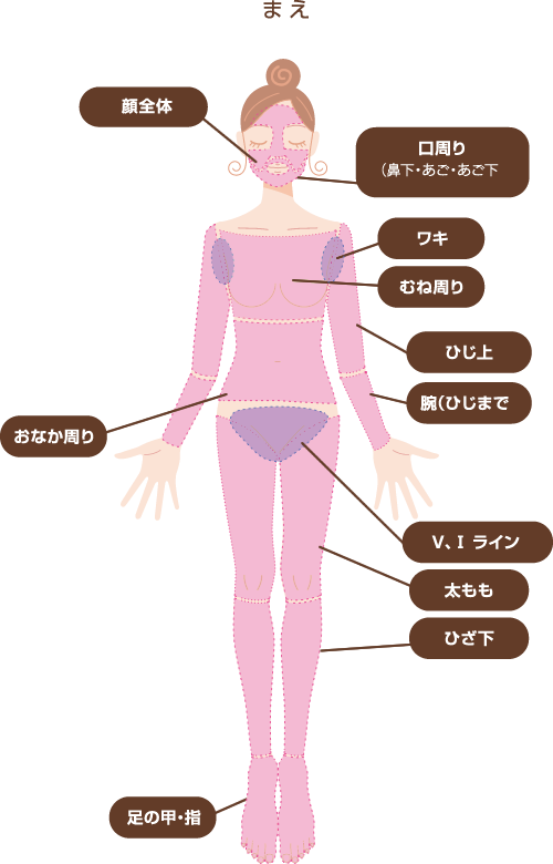 施術部位_前面
