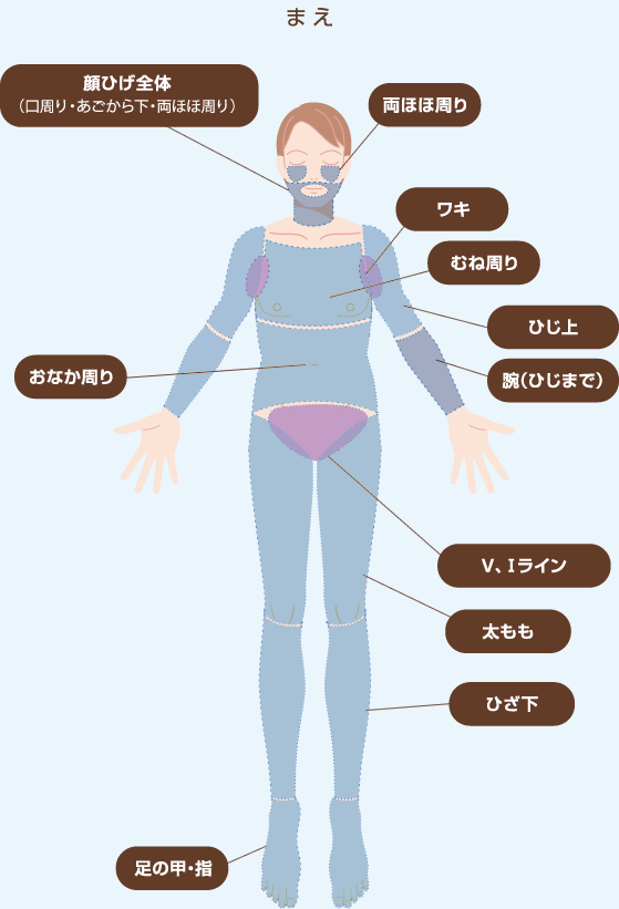 施術部位_前面