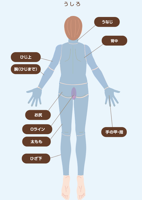 施術部位_背面